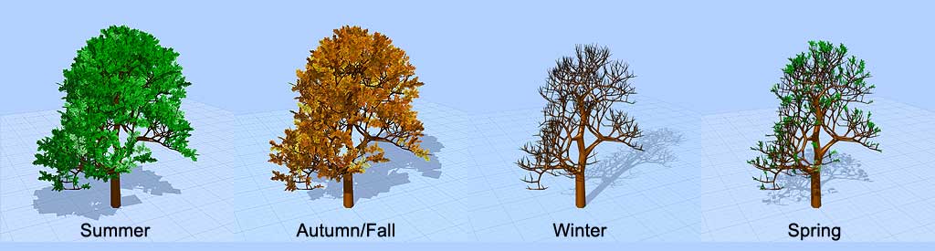 Dynamically modelling seasonal variation in deciduous vegetation.